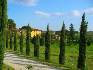 Casa per le vacanze Vinci Registrazione all'aperto 11
