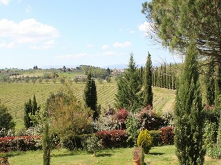 Fattoria Vinci Registrazione all'aperto 10