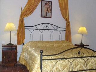 Fattoria Vinci Caratteristiche 23