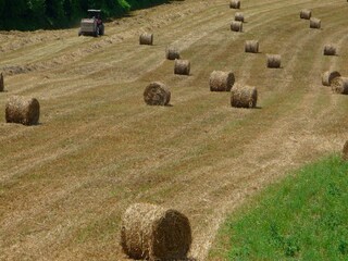 Type de propriété : Ferme Vinci Environnement 32