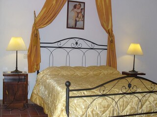 Fattoria Vinci Caratteristiche 24