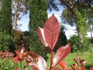 Type de propriété : Ferme Vinci  40