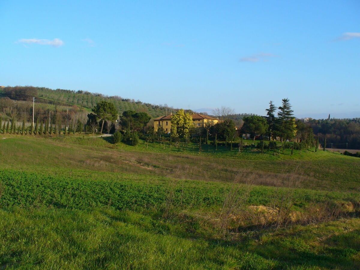 Bauernhof Vinci Umgebung 30