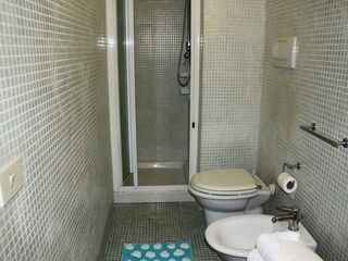 Type de propriété : Ferme Vinci Équipement 22