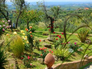 Casa per le vacanze Vinci Registrazione all'aperto 6