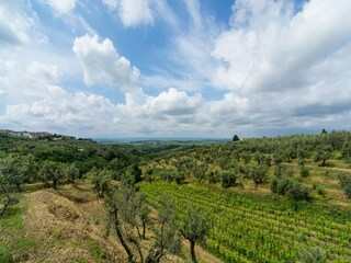 Casa per le vacanze Vinci Ambiente 25
