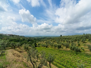 Ferienhaus Vinci Umgebung 31