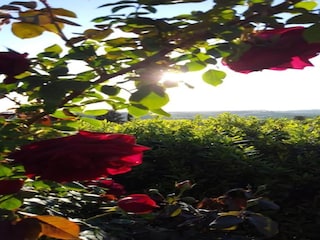 Ferienhaus Vinci Umgebung 24