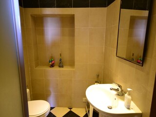 Fattoria Vinci Caratteristiche 21