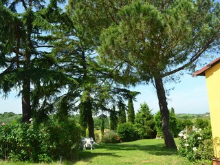 Farmhouse Vinci Outdoor Recording 10