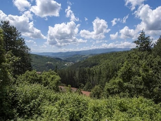 Holiday house Pelago Environment 30