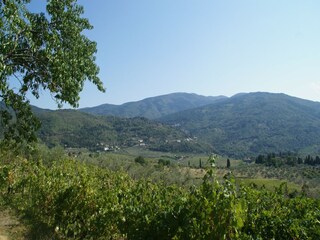 Casa per le vacanze Pelago Ambiente 21