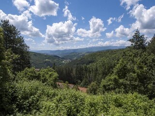 Casa per le vacanze Pelago Ambiente 28