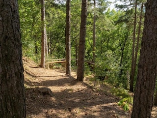 Holiday house Pelago Environment 35