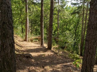 Vakantiehuis Pelago Omgeving 37