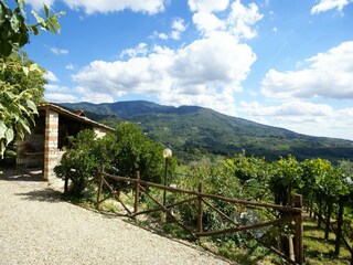 Casa per le vacanze Pelago Registrazione all'aperto 3