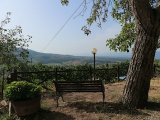 Ferienhaus Pelago Außenaufnahme 13