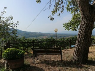 Holiday house Pelago Outdoor Recording 17