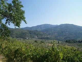 Ferienhaus Pelago Außenaufnahme 16