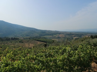 Holiday house Pelago Environment 35