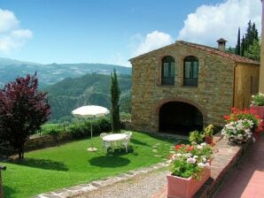 Vrijstaand, knus vakantiehuis op wijngaard met zwembad en uitzicht over Toscane - Londen - image1