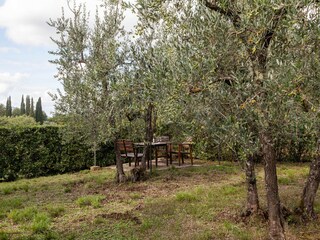 Ferienhaus Incisa in Val d'Arno Außenaufnahme 5