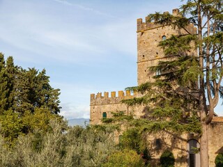 Vakantiehuis Incisa in Val d'Arno Omgeving 36