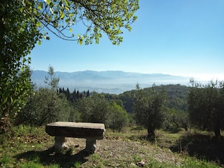 Vakantiehuis Incisa in Val d'Arno Buitenaudio-opname 12