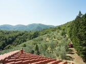 Casa de vacaciones Incisa in Val d'Arno Grabación al aire libre 1