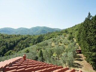 Casa de vacaciones Incisa in Val d'Arno Grabación al aire libre 10