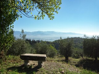 Casa per le vacanze Incisa in Val d'Arno Registrazione all'aperto 11