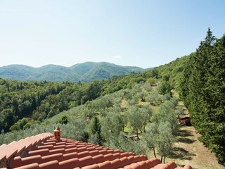 Holiday house Incisa in Val d'Arno Outdoor Recording 11
