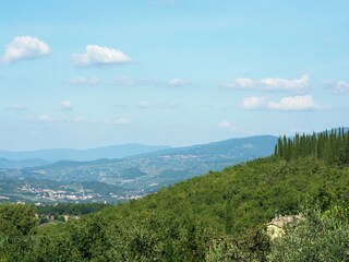 Casa de vacaciones Incisa in Val d'Arno Entorno 25