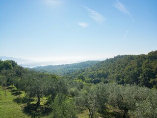 Holiday house Incisa in Val d'Arno Environment 27