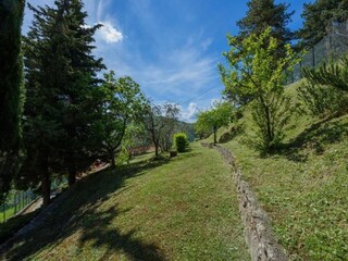 Holiday house Incisa in Val d'Arno Environment 26