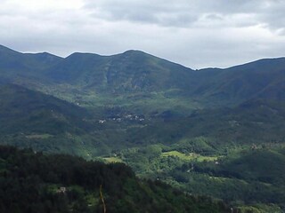 Holiday house Incisa in Val d'Arno Environment 30