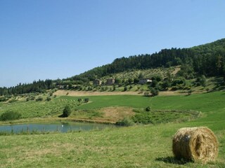 Holiday house Incisa in Val d'Arno Environment 31