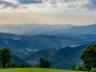 Holiday house Incisa in Val d'Arno Environment 32