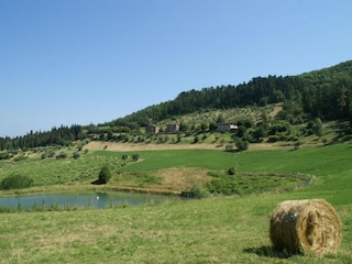 Vakantiehuis Incisa in Val d'Arno Omgeving 28