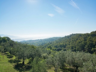 Holiday house Incisa in Val d'Arno Environment 28