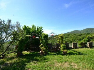 Apartment Incisa in Val d'Arno Outdoor Recording 11