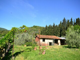Appartement Incisa in Val d'Arno Buitenaudio-opname 10