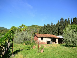 Appartement Incisa in Val d'Arno Buitenaudio-opname 13