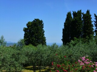 Appartement Incisa in Val d'Arno Buitenaudio-opname 12