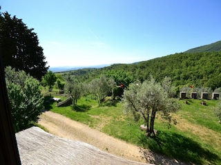 Apartment Incisa in Val d'Arno Outdoor Recording 11