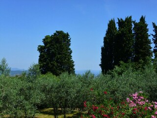 Appartement Incisa in Val d'Arno Buitenaudio-opname 13