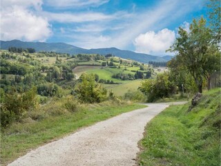 Apartment Incisa in Val d'Arno Umgebung 34