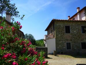 Apartment Luxuriöses Ferienhaus mit Pool in Pelago, Italien - Incisa in Val d'Arno - image1