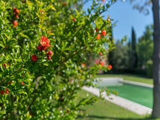 Holiday house Rignano sull'Arno  40