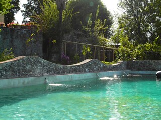 Villa Rignano sull'Arno Buitenaudio-opname 5